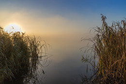 Der Geruch des Herbstes / ***