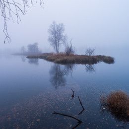 181105-33VV9867 / 181105-33VV9867