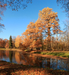 im Oktober / ***