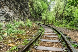 Narrow Gauge / ***