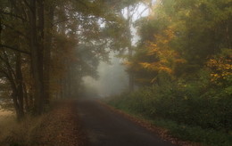 Straße zum Herbst / ***