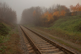 im Nebel / ***