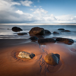 Company / Morning in Baltic sea