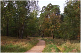 Herbstmotiv / ***