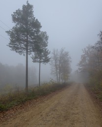 Straße im Nebel / ***
