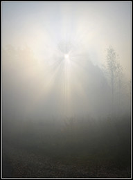 Nebliger Morgen / 2018