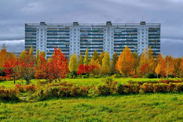 Herbstfarben der Natur. / ***