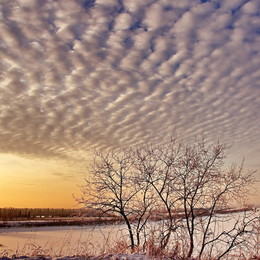 Winterabend. / ***