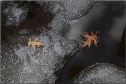 &nbsp; / [img]https://i.imgur.com/hvzuEzE.jpg[/img]