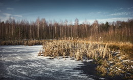 Freezing Pond / ***