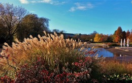 Planten un Blomen Hamburg / ***