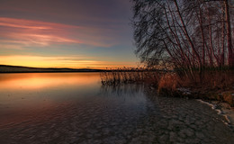 Scharlach dawn / ***