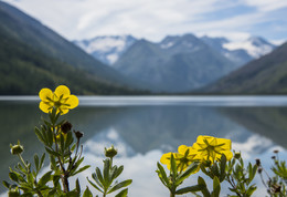 Lower Lake Multinskoye / ***