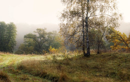 Sonnig Nebel / ***