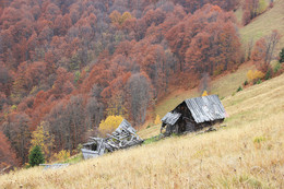 Herbst in den Karpaten / ***