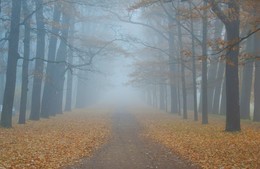 Herbstmorgen ... / ***