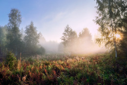 Nebel am frühen Morgen im September / ***