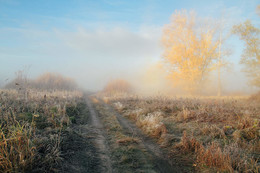 Herbstnebel / ***