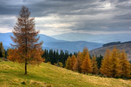 &nbsp; / [img]https://i.imgur.com/5hFa8OW.jpg[/img]
[img]https://i.imgur.com/CmnZKMf.jpg[/img]
