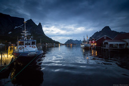 Reine / ***