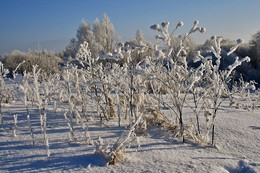 Winter-Skizzen. / ***