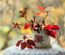Altweibersommer / ***