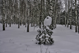 Winter-Skizzen. / ***