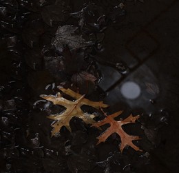   / ***