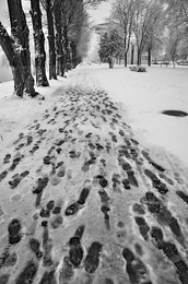 Footprints / ***