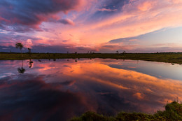 mirror of clouds / cloud reflection in swamp lake