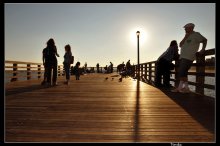 Laterne / Coney Island