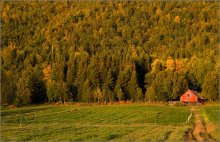 Herbst pastoralen / Norway