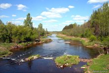 Summer Symphony / ***