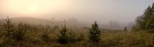 Foggy Landschaft / ***********