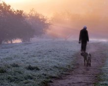 ungewöhnlichen Spaziergang / ***