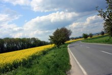 Landschaft / ***