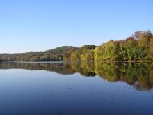 Radnor park lake / Nashville