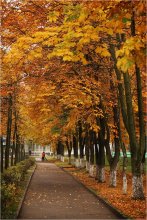 In der Stadt Herbst und Scheibenwischer / ***