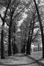 Herbst eines Tages ... / ***