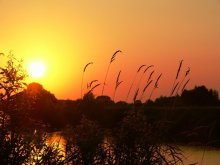Morgendämmerung / ***