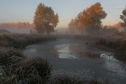 Herbst / ***