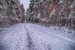 Der Winter kam / ***