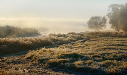 Herbst / ***