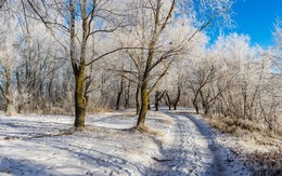 Straße im Winter / ***