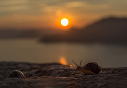 Sonnenuntergang / ***