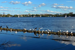 Alster Hamburg / ***