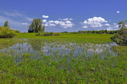 Frühling / ***