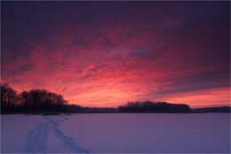 Der Sonne entgegen / ___