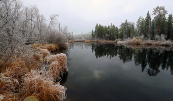 Die ersten Frost / ***