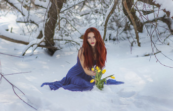 The Tale of the Snow Flowers / ...